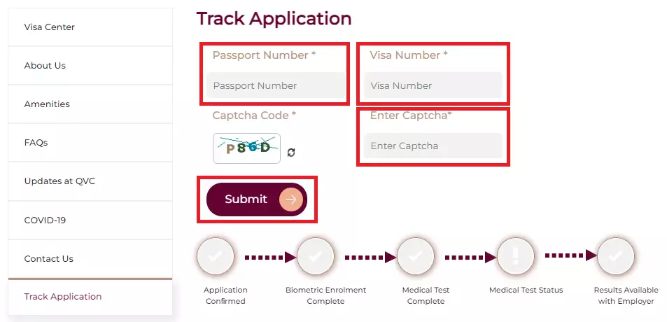 Type your Passport Number and Visa Number