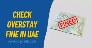 UAE Visa Fine Check & Pay Your Overstay Fines Online
