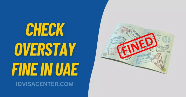 How to Check Overstay Fine in UAE