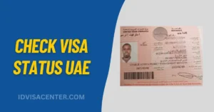 Check UAE Visa Status & Validity Online By Passport Number